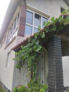 Summer house Belgrade - 8