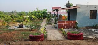 WILD DESTINATION HOMESTAy - - 4