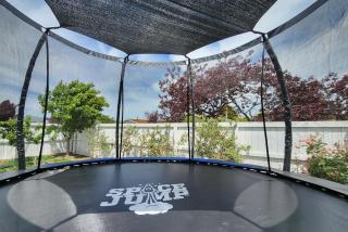 Spacious 5BDR 2BA 2LR plus sleepout Family Home - Christchurch - 1