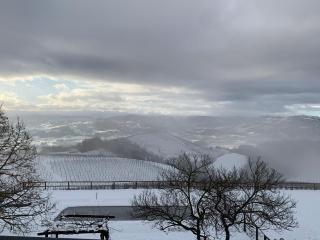 Cascina Marcantonio - Acqui Terme - 5
