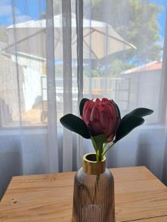 Mons Pes in Lakeside - Kaapstad - 4