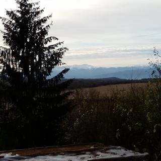 B&B Nina - Kramolin - 2