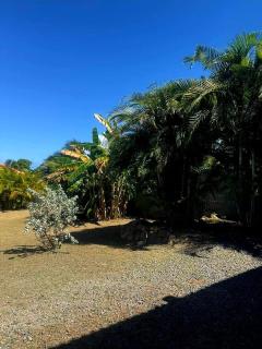 My little piece of heaven - 3