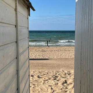 Le petit nid de Katia - 2