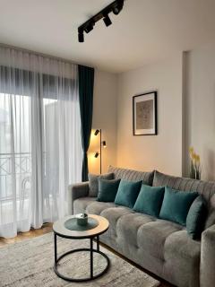 SAFRAN 604, private apartment in a brand new apart hotel - Zlatibor - 9
