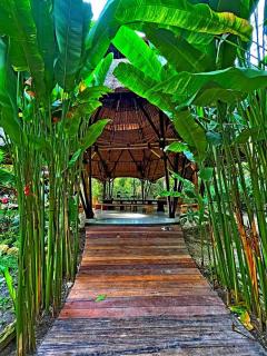 Seed Village - 8