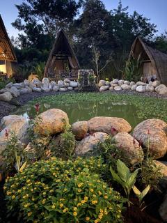 Seed Village - 7