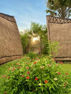 Seed Village - 5