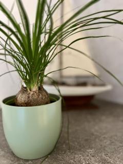 2 Zimmer Ferienwohnung - Strandnähe, ruhig und mit super Ausstattung - 2