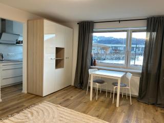 Schöne 1-Zimmer Wohnung am Bahnhof 2 Parkplätze - Sonthofen - 3