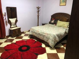 شقه مفروشه فخمه بجوار جامعه المنصوره - 4