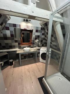 Duplex le Vestige - Metz - 5