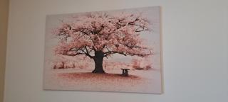 L'Arbre Rose de Bergheim - Bergheim - 7