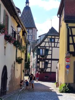 Le Nid Douillet de Bergheim - 4