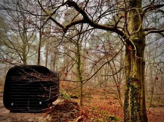 Bos en Heide - Hezingen - 3
