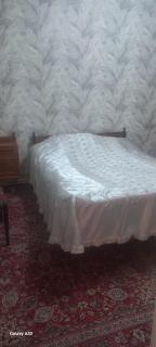 Apartment at Narimanov 151 - 1