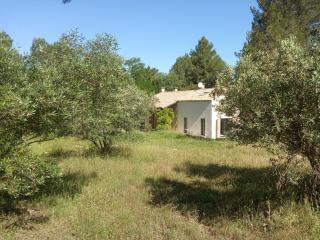 Maison de Charme avec piscine dans le Parc Naturel des Alpilles - Saint-Rémy-de-Provence - 9