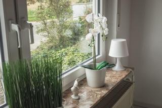 Pension Nickel Ferienwohnung EG Am Holzlachgraben - Alsbach-Hähnlein - 8