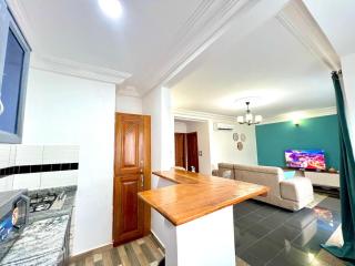Beautiful furnished apartment - Douala - 7