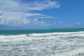 New One Bedroom Luxury Apt Isla Verde - 6