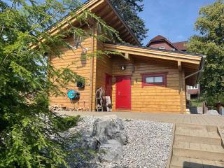 Blockhaus an der Skiwiese Braunlage - Braunlage - 9