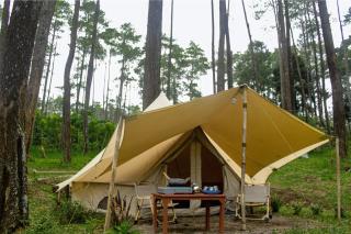 Lembah Pinus Cikole - 8