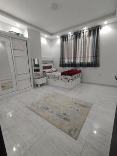Side of Geyhan Mansoura Street - Mansoura - 2