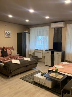 Aranyfürt Vendégház GOLD - 6