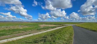 Oase am Deich - - 6