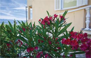 1 Bedroom Lovely Apartment In Malinska - 3