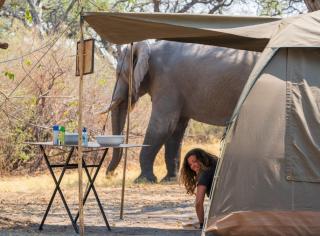 Bush and Forest Camps - Arusha - 7