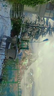 Shamshi Roll Guest House - - 8