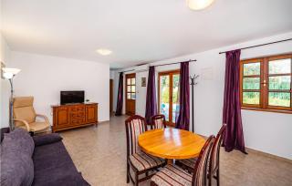 Pet Friendly Home In Lisane Tinjske - Lišane Tinjske - 9