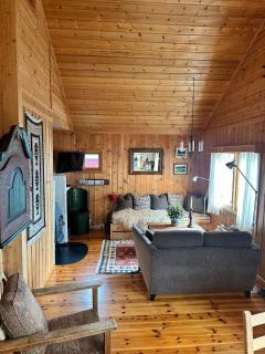 Convenient ski in-out on Norefjell in the alpine village - Surteberg - 9