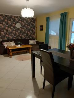 Vila Sabo- Casa de vacanta cu lac de pescuit si ciubar cu hidromasaj - Sîntioana - 5