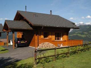 Chalet la Murier - Leysin - 1