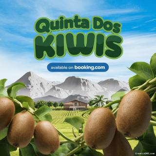 Quinta Dos Kiwis - Sertã - 5