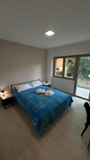 house of cat - Grottaferrata - 8