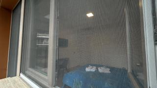 house of cat - Grottaferrata - 2