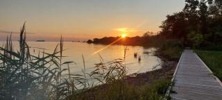 Magnolia Garden, 12 min walk to the beach - 6