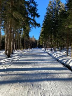 Kwaterka Familijna - 4