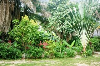 Charming house with private pool in Cap Skirring - Cap Skirring - 5
