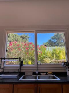Diez Pinos - Punta del Este - 2