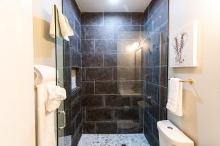 Stylish-studio-walker's-paradise-wifi-ac - San Diego - 5