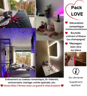 Suite cosy indépendante Évasion 2 proximité Colmar - Wintzenheim - 9