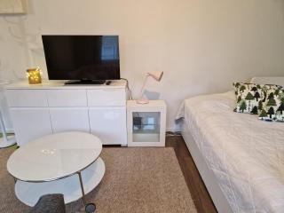 Green studio near city center, free Wi-Fi - Tampere - 8