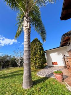 Villa Sole - 4