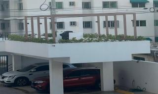 Comfortable apartment - Los Mameyes - 9