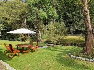 Holzhaus mit Kamin - Am Forellenfluss - - 4