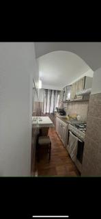 Apartament Florina - Brezoi - 4
